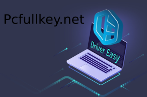 Driver Easy Crack