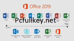 MS Office 2019 License