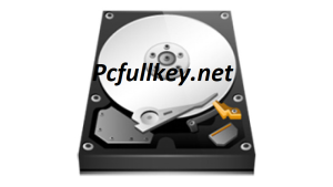 Hard Disk Sentinel Crack