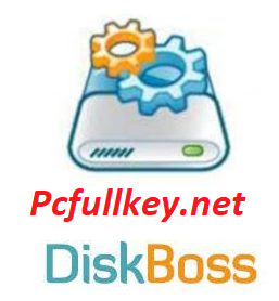 DiskBoss 12.8.16 Crack