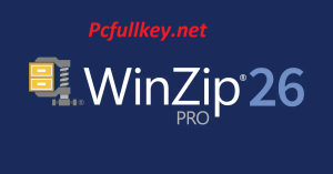 WinZip Pro Crack