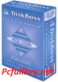 DiskBoss 12.8.16 Crack
