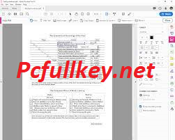 Adobe Acrobat Pro DC Activation Key