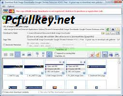 Bulk Image Downloader Crack 